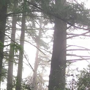 IMG 0025a2436rightpanel2040