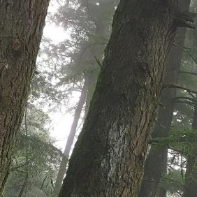 IMG 0025amidpanel2040