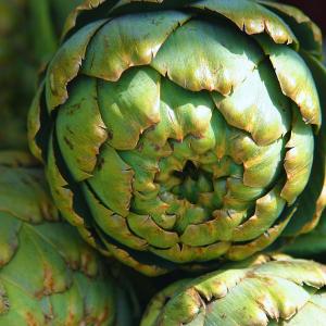 artichokes2a1515